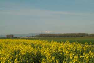 1649 Rapsfeld , Schneeberg